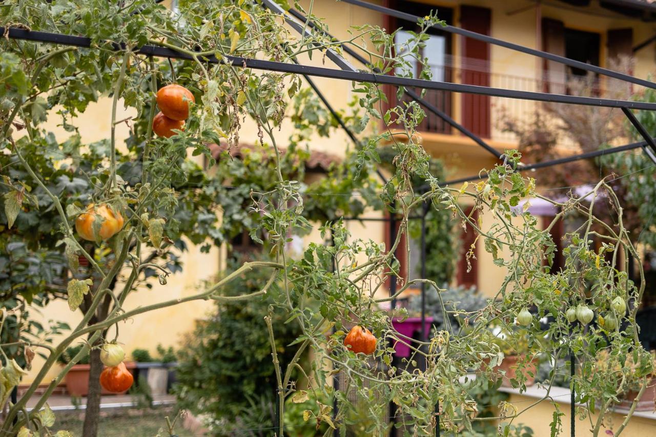 La Valle B&B アスティ エクステリア 写真